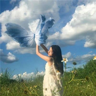 我能看见成功率